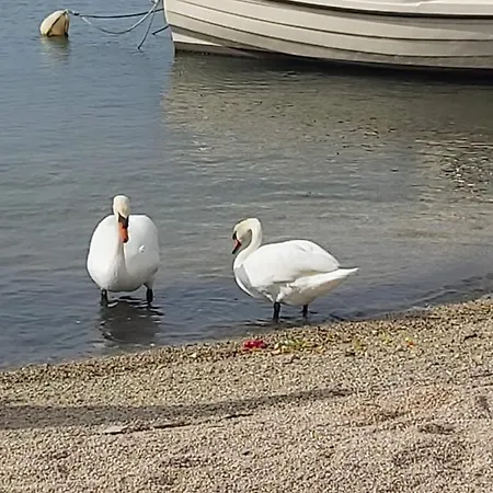 בית נופש Kuca Za Odmor Ivanka