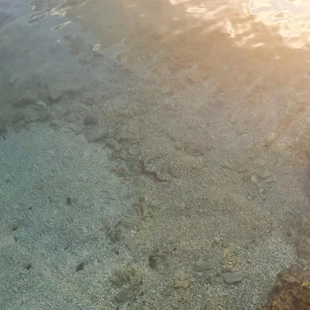 בית נופש Kuca Za Odmor Ivanka