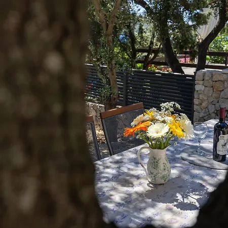 Ferienhaus Kuca Za Odmor Ivanka