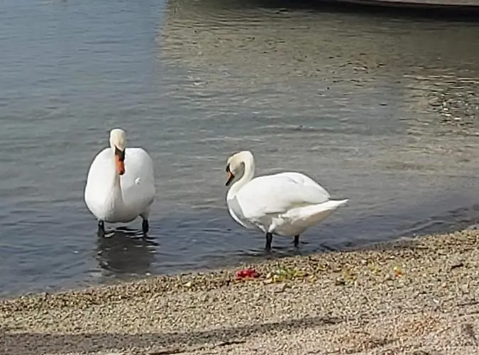 Ferienhaus Kuca Za Odmor Ivanka